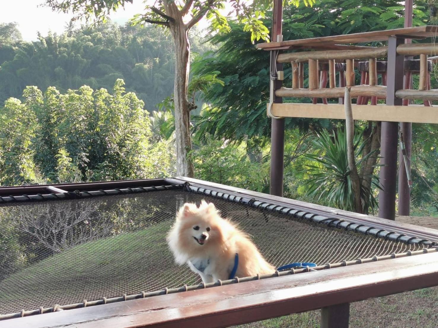 Baanrai Khunya บ้านไร่คุณย่า Sai Yok Ngoại thất bức ảnh